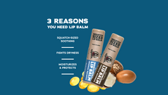 Scent notes graphic for Dr. Squatch Lip Balm 4-Pack gift set