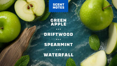 Scent notes graphic used on Dr. Squatch product pages