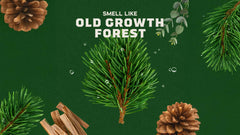 Scent inspiration imagery used on Dr. Squatch product pages