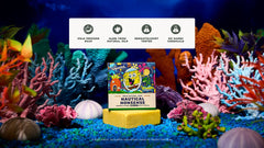 Nautical Nonsense 3-Pack