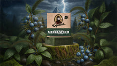 Dr. Squatch Sierra Storm bar soap