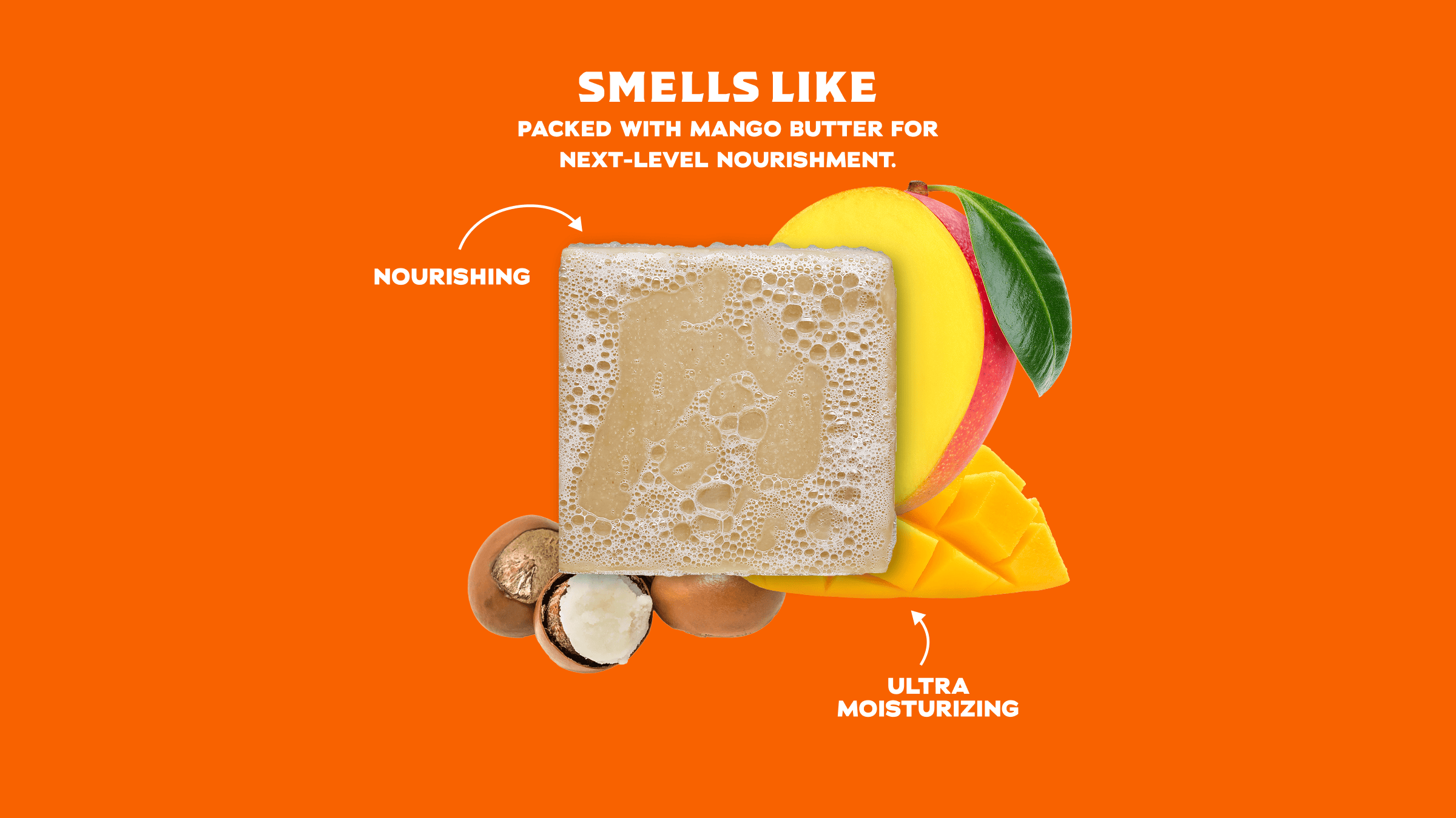 Scent notes graphic for Dr. Squatch Total Moisture 6-Pack gift set