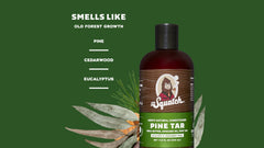 Scent notes graphic for Dr. Squatch Pine Tar Conditioner: Old Forest Growth