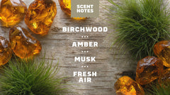Scent notes graphic used on Dr. Squatch product pages