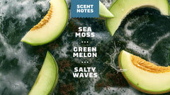 Scent notes graphic used on Dr. Squatch product pages