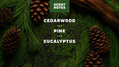Scent notes graphic used on Dr. Squatch product pages