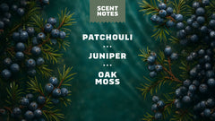 Scent notes graphic used on Dr. Squatch product pages