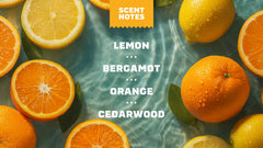 Scent notes graphic used on Dr. Squatch product pages