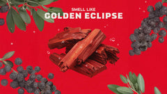 Scent inspiration imagery used on Dr. Squatch product pages