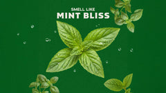 Mint Bliss imagery representing the scent of Dr. Squatch Spearmint Basil bar soap